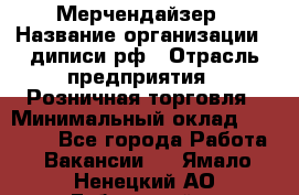 Мерчендайзер › Название организации ­ диписи.рф › Отрасль предприятия ­ Розничная торговля › Минимальный оклад ­ 25 000 - Все города Работа » Вакансии   . Ямало-Ненецкий АО,Губкинский г.